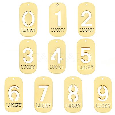 10Pcs 304 Stainless Steel Pendants STAS-SC0021-58G-1