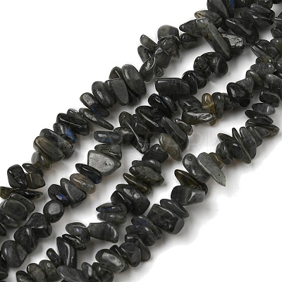 Natural Labradorite Chip Bead Strands G-M205-57A-1