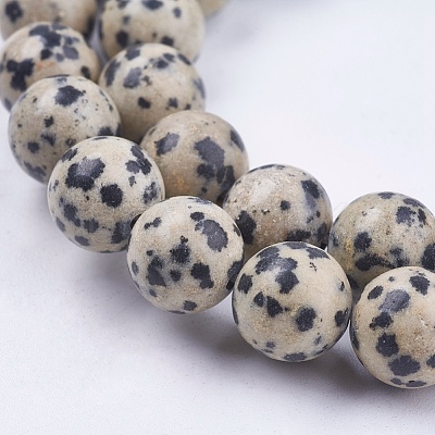 Natural Dalmatian Jasper Stone Bead Strands X-G-R193-14-10mm-1