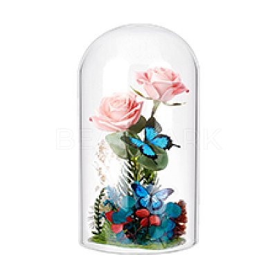 Glass Cloche Dome Covers GLAA-WH0057-07-1