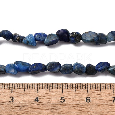 Natural Lapis Lazuli Beads Strands G-I389-A05-1
