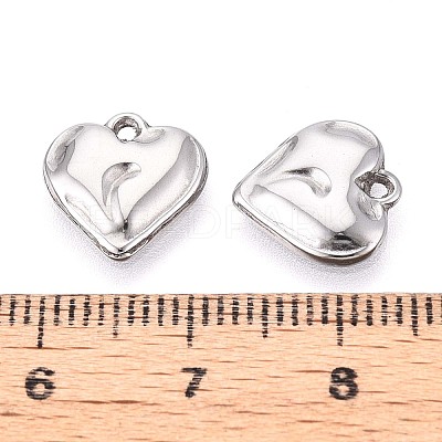 304 Stainless Steel Charms STAS-T065-24B-P-1