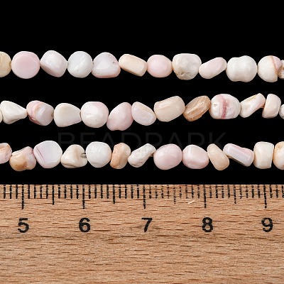 Natural Shell Beads Strands SHEL-K006-76-1
