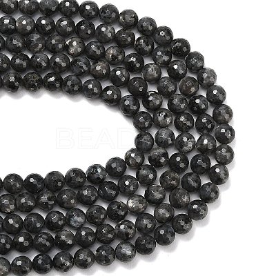 Natural Larvikite Beads Strands G-C280-B06-10mm-1