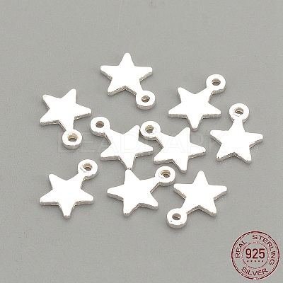 925 Sterling Silver Charms STER-S002-30S-1