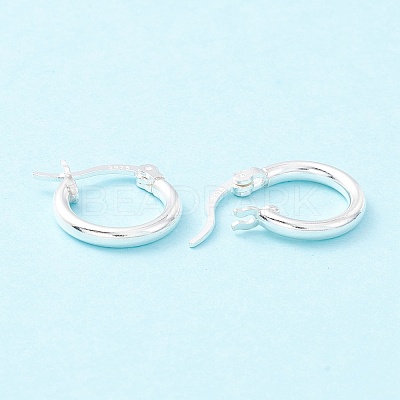 925 Sterling Silver Hoop Earrings STER-P047-13A-S-1