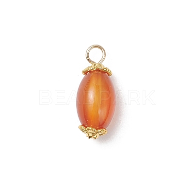 6Pcs Natural Agate(Dyed & Heated) Pendants PALLOY-JF04532-02-1