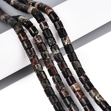 Natural Biotite Beads Strands G-T141-88A-1