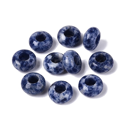 Natural Blue Spot Jasper European Beads G-N359-17A-07-1