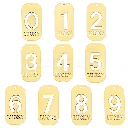 10Pcs 304 Stainless Steel Pendants STAS-SC0021-58G-1