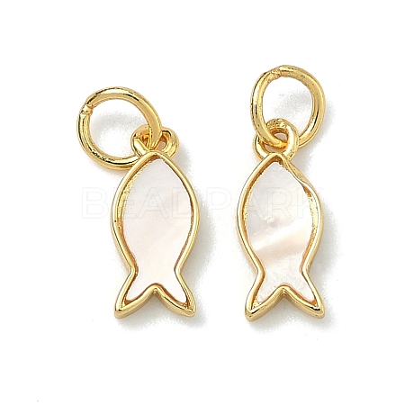 Natural White Shell Fish Charms KK-F926-04B-1
