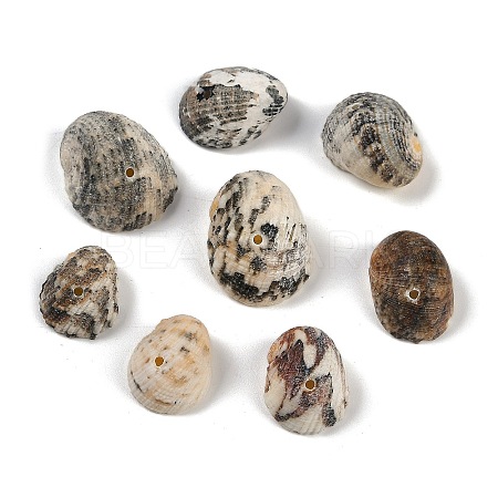 Natural Shell Pendants SHEL-K009-17A-1