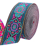 Ethnic Style Embroidery Polyester Ribbon SRIB-WH0007-02D-1