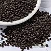 MIYUKI Round Rocailles Beads SEED-X0055-RR0409-1