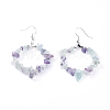 Natural Fluorite Dangle Earrings EJEW-E255-D04-2