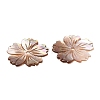 Natural Sea Shell Beads SHEL-F007-21-3