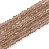 Transparent Glass Beads Strands EGLA-A044-T1mm-MD16-1