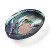 Natural Paua Shell Beads SSHEL-Q298-22-3