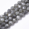Natural Labradorite Beads Strands G-R465-33B-1