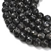 Natural Larvikite Beads Strands G-C280-B06-10mm-4