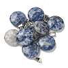 Natural Blue Spot Jasper Pendants G-B127-14P-09-1