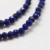 Natural Lapis Lazuli Bead Strands G-P270-2mm-19-4