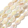 Natural Freshwater Shell Beads Strands BSHE-H018-06-1
