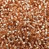 Glass Seed Beads SEED-S042-04B-17-3