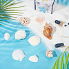 Natural Spiral Shell DIY Decorative Craft Material SHEL-SP0001-02-3