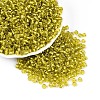 6/0 Round Silver Lined Round Hole Glass Seed Beads X-SEED-A005-4mm-30-1