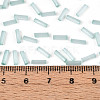 Glass Bugle Beads SEED-N007-28F-4