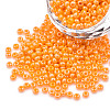8/0 Czech Opaque Glass Seed Beads SEED-N004-003A-32-1