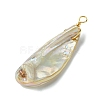 Electroplated Natural Freshwater Shell Pendants PALLOY-JF03336-4