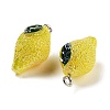 AB Color Resin Pendants LS-RESI-C051-02F-P-2
