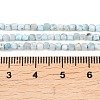 Natural Larimar Beads Strands G-F803-C01-03A-5