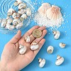 Electroplated Spiral Shell Pendants BSHE-YW0001-07P-7