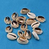 Natural Cowrie Shell Beads BSHE-S052-1