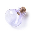 Miniature Glass Bottles GLAA-H019-03B-2