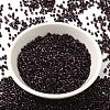 Glass Seed Beads X-SEED-S042-04B-30-2