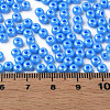 6/0 Czech Opaque Glass Seed Beads SEED-N004-003D-17-6
