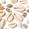 4 Style Natural Mixed Cowrie Shell Beads BSHE-FS0001-01-3