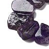 Natural Amethyst Beads Strands G-P528-K09-01-3