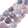 Natural Fluorite Beads Strands G-F719-01-1