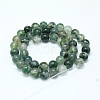 Natural Moss Agate Beads Strands X-G-I199-06-6mm-2