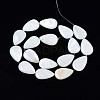 Natural Sea Shell Beads Strands SSHEL-Q296-43-2