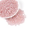 Transparent Glass Seed Beads SEED-N007-33A-02-1