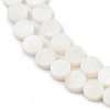 Natural Freshwater Shell Beads Strands SHEL-K010-03-3