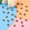 Tibetan Style Alloy Charms MLF0339Y-5