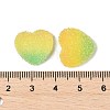 Imitation Candy Food Style Resin Cabochons RESI-R461-01K-3