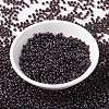 MIYUKI Round Rocailles Beads X-SEED-G008-RR4502-2